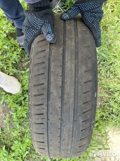 Matador MP 44 Elite 3 195/65 R15