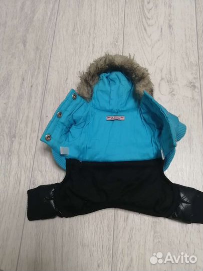 Костюм для собак