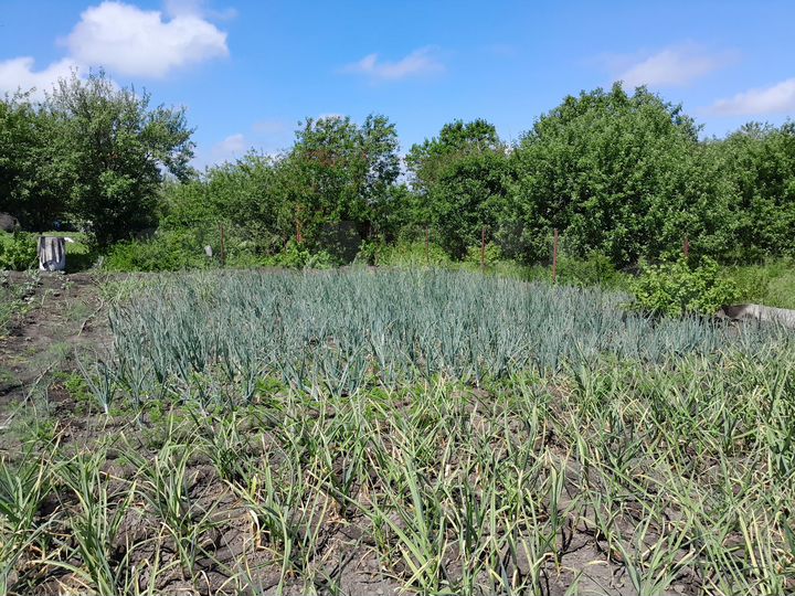 Участок 10 сот. (ИЖС)