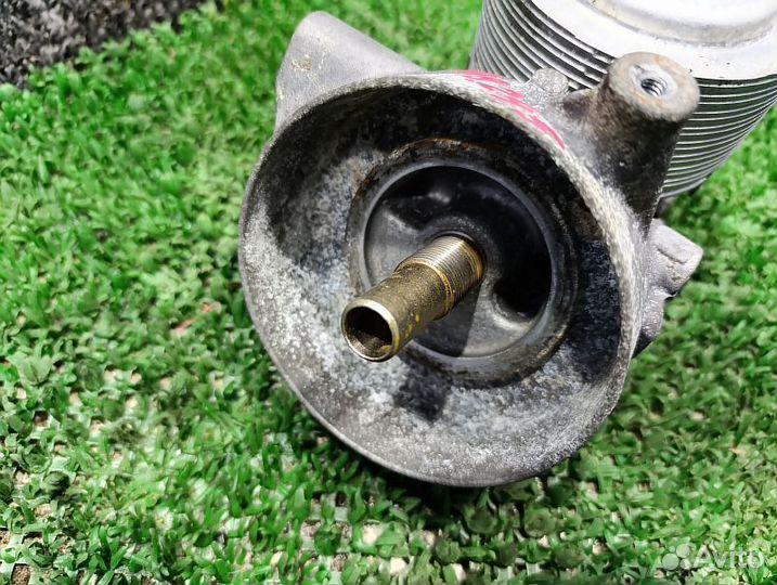 Радиатор масленный Nissan Pathfinder