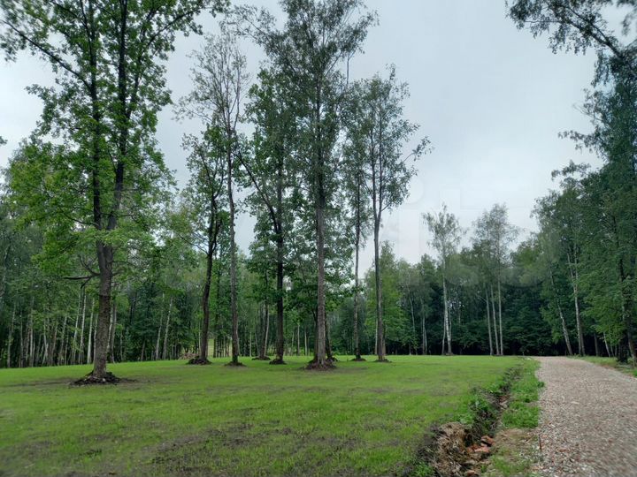 Участок 6 сот. (ИЖС)