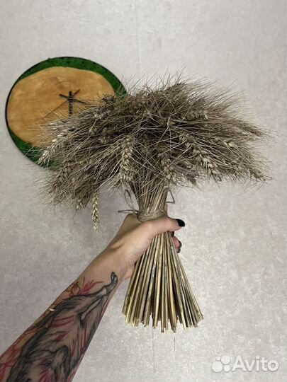 Букет из пшеницы, рожь