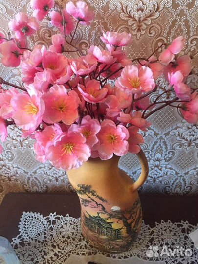 Комнатные растения цветы