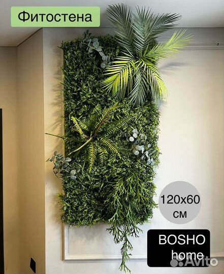 Фитостена, фитопотолок, фотозона