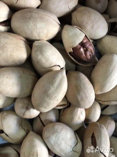 Сухофрукты и орехи оптом с доставкой