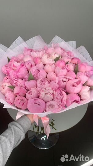 Цветы пионы. Букет пионов. Пионы. Цветы