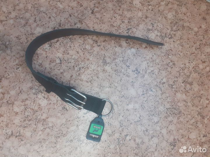 Экипировка для собак