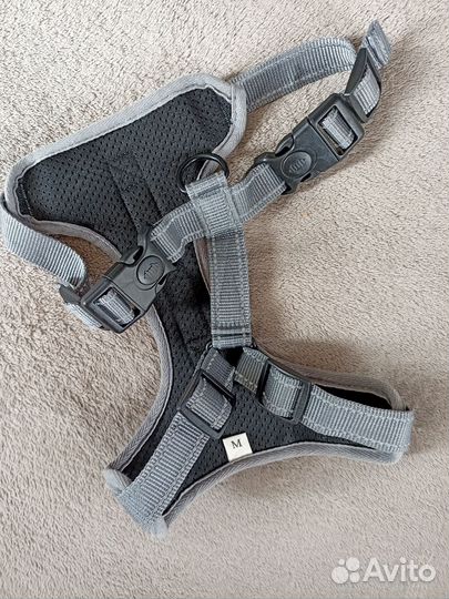 Новая анатомическая шлейка для собак