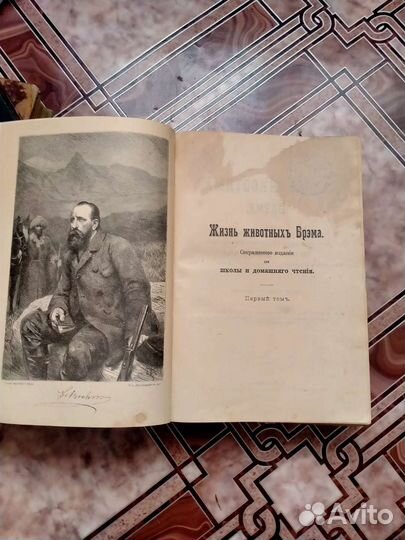 Брэм жизнь животных