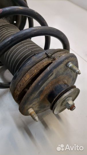 Амортизатор подвески Honda Ridgeline, 2006