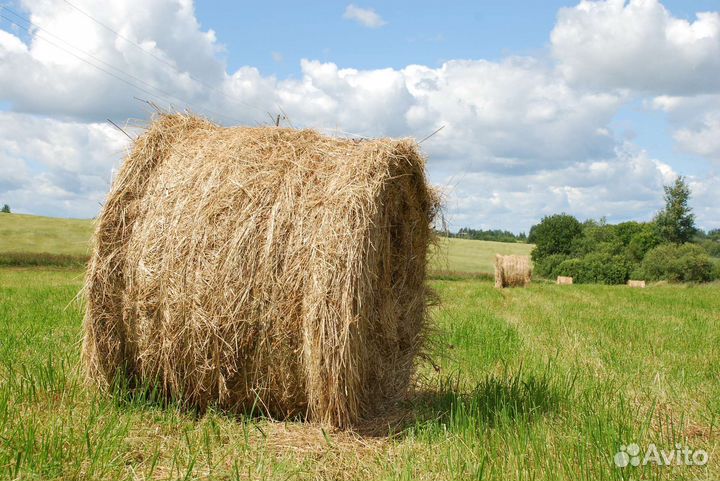 Солома в тюках