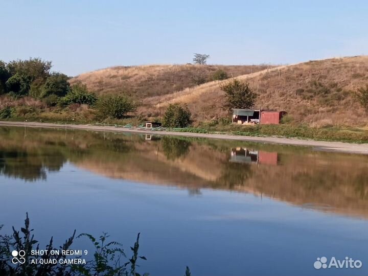 Недвижимость