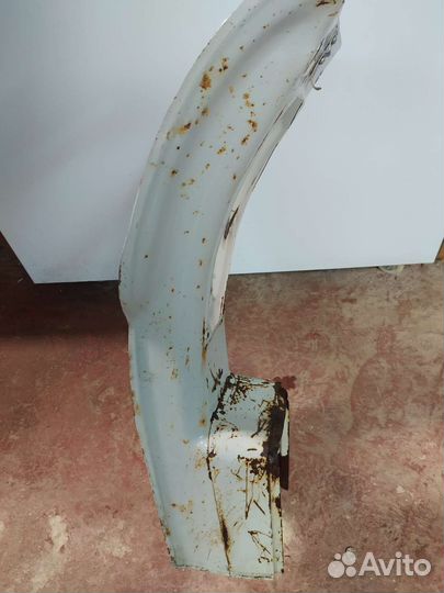 Борода мотороллер муравей тулица