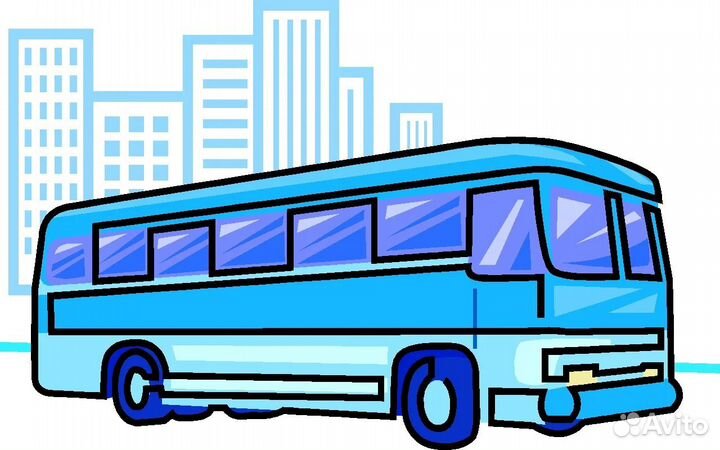 Водитель автобуса категории д