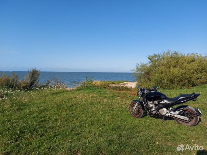 Honda Hornet CB600F