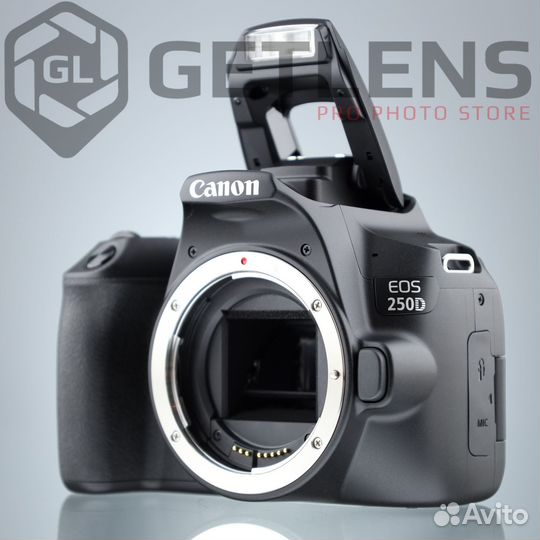 Canon EOS 250D Kit EF-S 18-55mm f/3.5-5.6 III