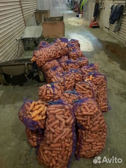 Доставка морковь мытая лом