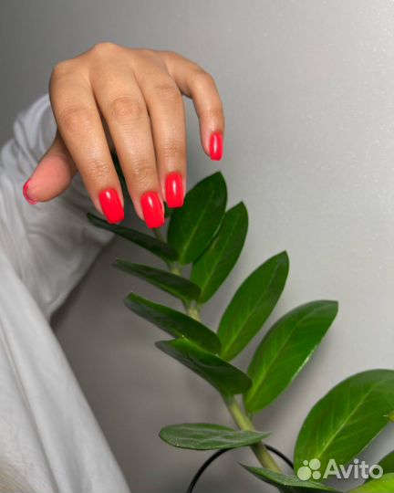 Маникюр / гель лак / наращивание