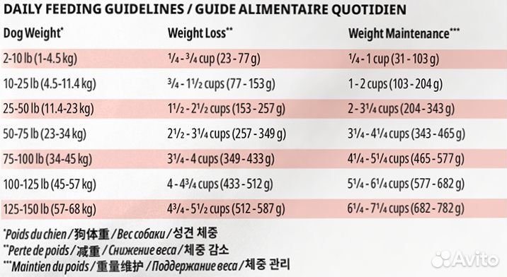 Корм NOW fresh беззерновой для взрослых собак со с