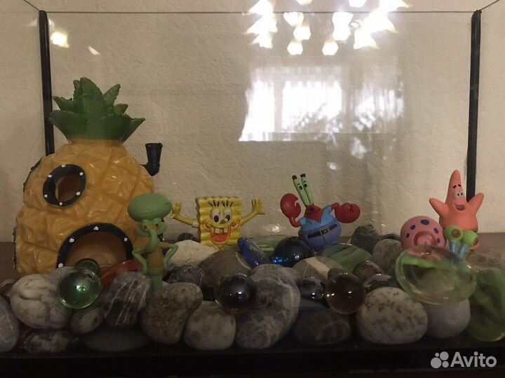 Аквариум Спанч Боб