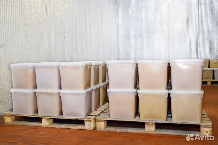 Эспарцетовый мед 2024