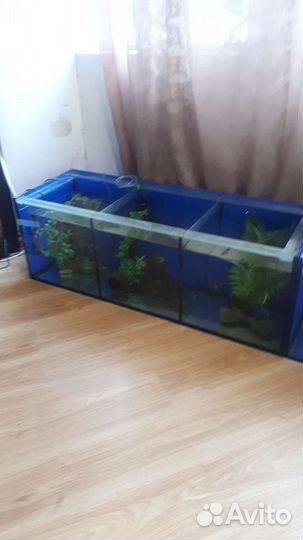 Аквариум
