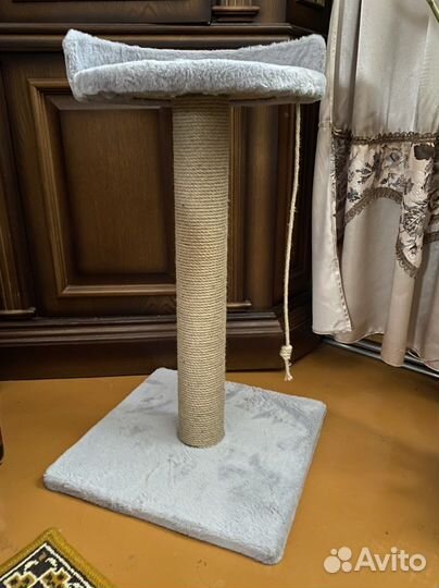 Когтеточка