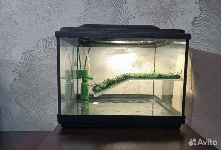 Террариум для красноухой черепахи