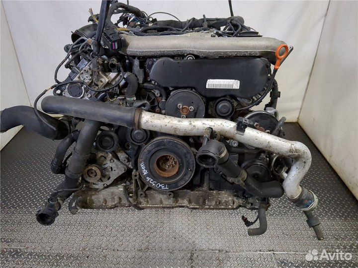 Двигатель Volkswagen Phaeton, 2008