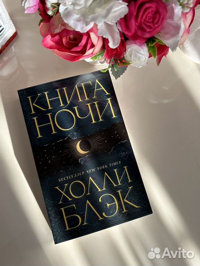 Холли Блэк «Книга Ночи»