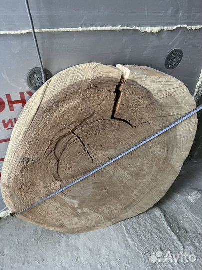 Большой спил Белого Ясеня