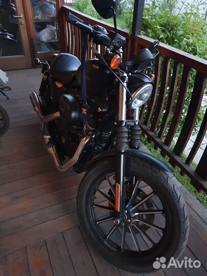 Harley Davidson XL883N