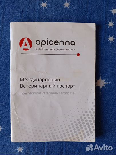 Наша девочка