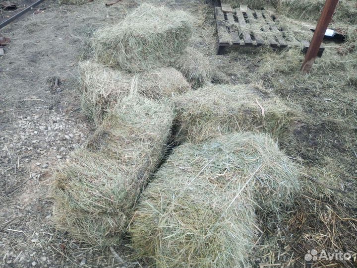 Сено в тюках