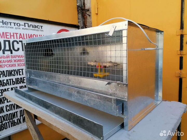 Брудеры для птицы