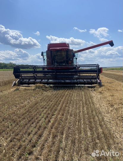 Уборка зерновых и подсолнечника