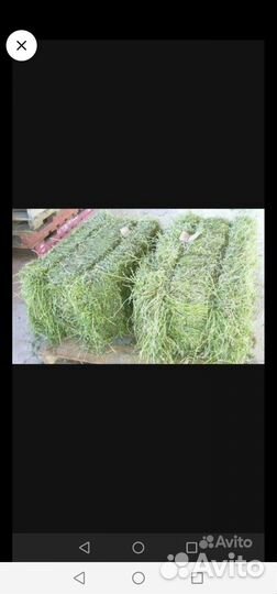 Продам сено и ячменную солому