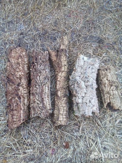 Кора пробкового дуба