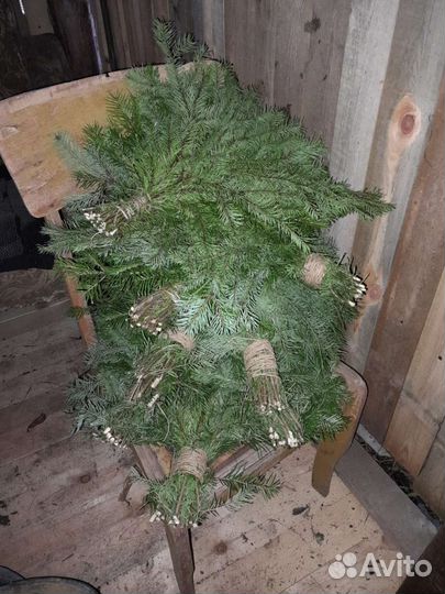 Веники для бани пихта