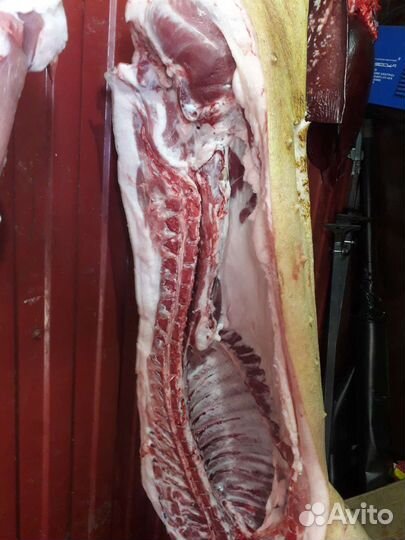 Мясо свиное домашнее, деревенское, парное