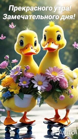 Корова дойная