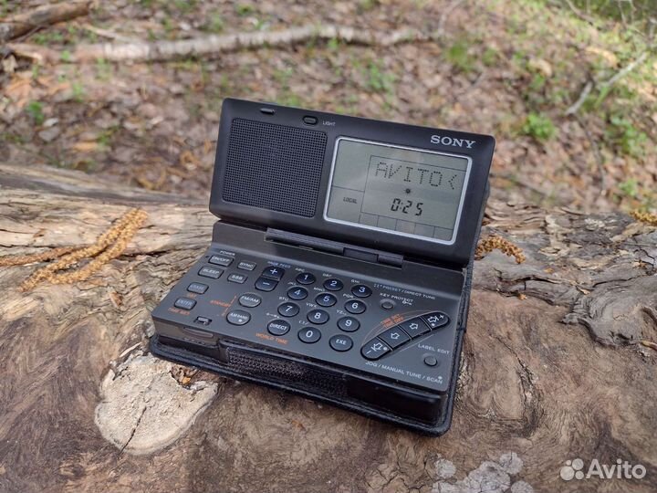 Sony ICF SW 100