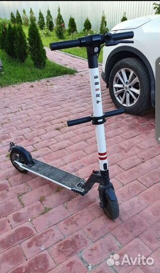 Электросамокат tribe himba