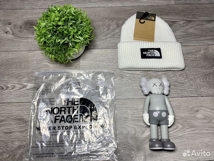 Шапка TNF