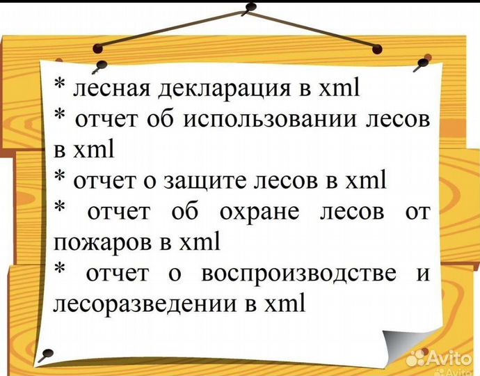 Услуги в области лесного хозяйства