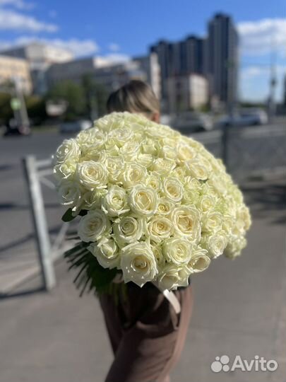 101 белая роза