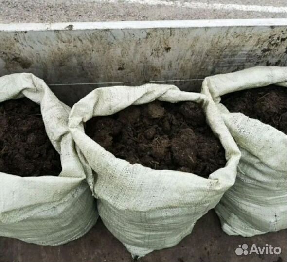 Конский перегной