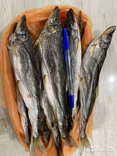 Корюшка вяленая с икрой