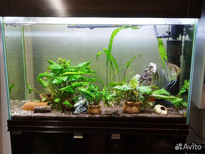 Аквариум 110л