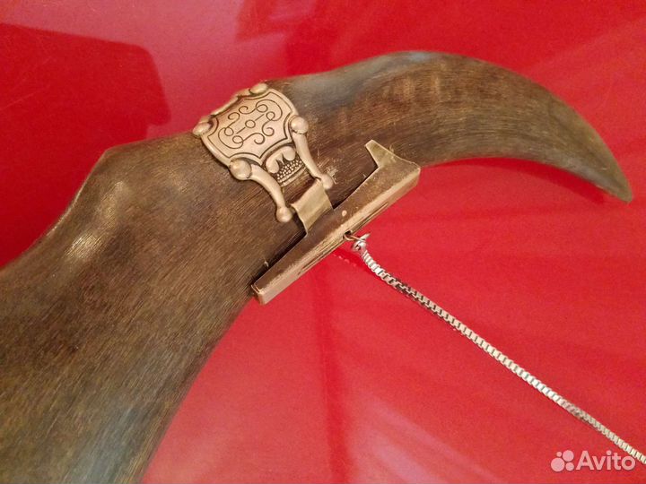 Рог кавказского тура